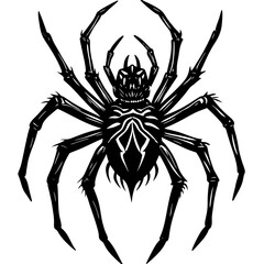 spider on a white background