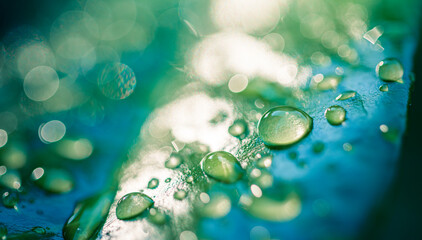 Amazing macro photo of green leaf with rain drops under sunlight at sunset dreamy natural atmosphere closeup water surface soft blurred foliage lush botanical background vibrant fresh nature detail