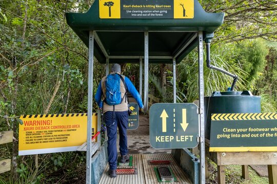 A hiker cleans their footwear at a Kauri dieback cleaning station in New Zealand. This helps prevent the spread of disease that is killing Kauri trees.