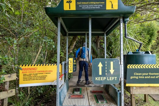 A hiker uses a cleaning station to prevent the spread of Kauri dieback disease in a forest in New Zealand. The station has brushes and disinfectant.