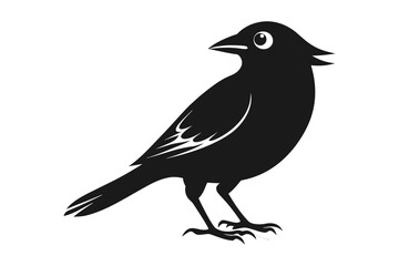 vector illustration of a bird