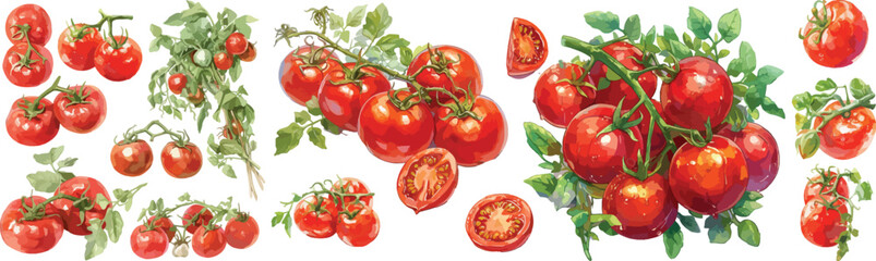 tomato watercolor clipart