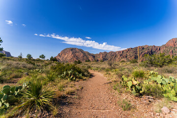 Scenic View at Big Bend Nationalpark, Texas, USA
