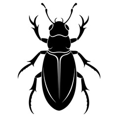 Detailed Beetle Illustration in Black and White Silhouette