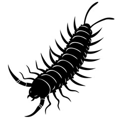 Detailed Centipede Illustration in Black and White Silhouette