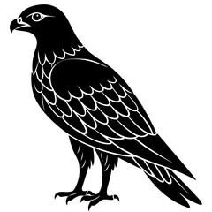 Elegant Black and White Hawk Illustration in Silhouette Style silhouette