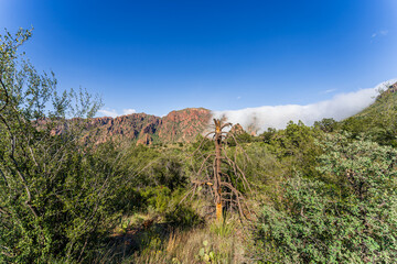 Scenic View at Big Bend Nationalpark, Texas, USA