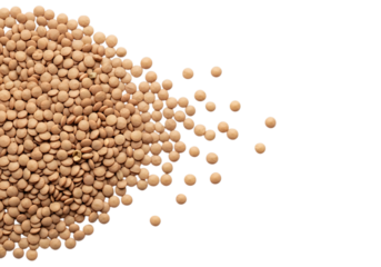 Pile of small beige lentils scattered across a black surface isolated on transparent background