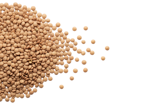Pile of small beige lentils scattered across a black surface isolated on transparent background