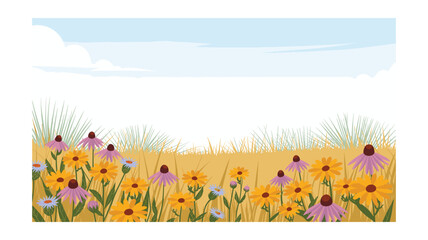 Vibrant Wildflower Meadow Illustration with Purple Coneflowers and Golden Daisies Under a Blue Sky with Clouds, Perfect for Springtime Projects