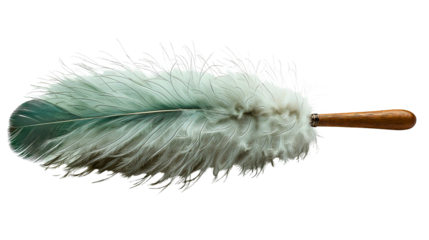 Feather Duster on Display: A pristine feather duster, composed of soft, delicate feathers, embodies the essence of cleanliness and the art of home care.