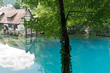 Fototapete bei efototapeten.de bestellen   