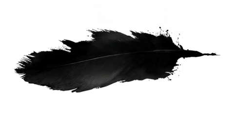 A black feather with ink splatters isolated on transparent background