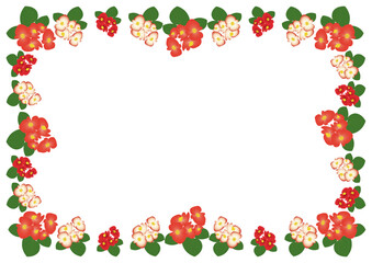 ベゴニアオレンジフレーム