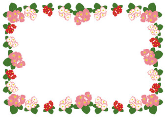 ベゴニアピンクフレーム