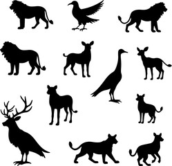 dragon, phoenix, tattoo, design vector bundle