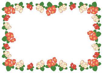 ベゴニアオレンジフレーム