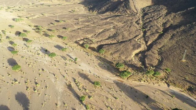 Moroccan sahara desert drone footage, Acacia tree dry river merzouga desert 