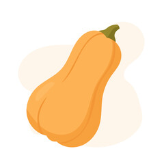 A ripe butternut squash rests on a soft, neutral background. Its curved shape and rich orange hue highlight the seasonal charm of autumn produce