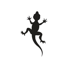 New Lizard Silhouettes Design With Vector Template