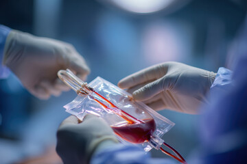 Gloved hands holding clear medical blood bag with crimson fluid in clinical setting with soft lighting and shallow depth of field
