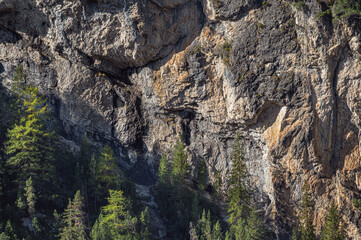autumnal mountain landscape inside the Stelvio National Park along the Lombard side, Sondrio, Italy