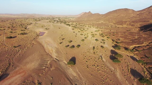 Moroccan sahara desert drone footage, Acacia tree dry river merzouga desert 