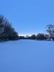 snow covered trees