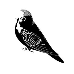Three dimensional bright green budgerigar bird icon with detailed illustration
