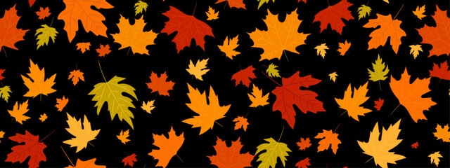 seamless pattern of red, yellow maple leaves on a black background.Close-up, long.eps