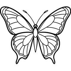Elegant Butterfly Line Art Illustration