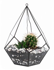 A stunning geometric terrarium with a vibrant cactus and decorative stones, perfect for modern home decor.