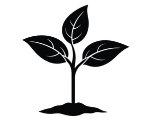 A black plant sprouting from the ground isolated on white background