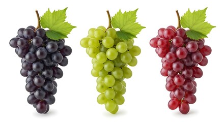 Obraz premium Three bunches of fresh grapes including black green and red varieties