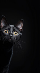 Conceptual illustrations