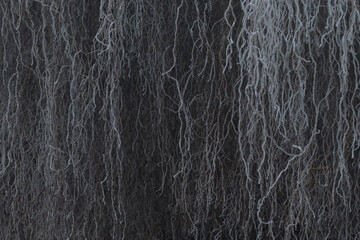 A detailed close up image of a textured gray wall with numerous threads of various lengths...