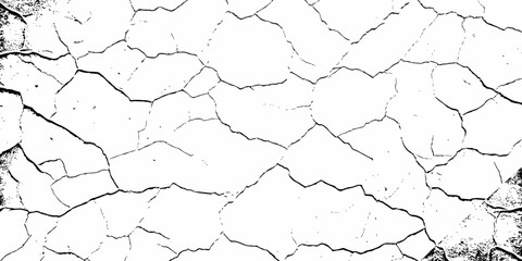  black and white texture featuring a network of cracks across a bright white surface pattern white background.