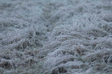 A detailed close up view of a vibrant and colorful pile of soft yarn resting gently on a cozy carpet surface