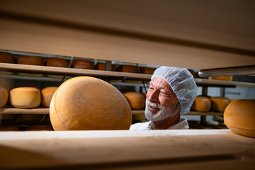 Traditional way of making premium quality cheese. Production of high-quality aged cheese.