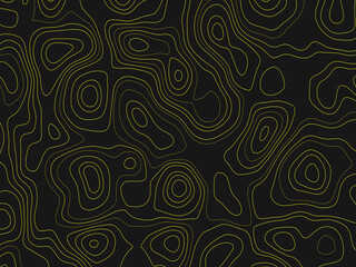 Abstract Topographic Map Contour Line Pattern Background in Modern Digital Art Style with Undulating Wavy Shapes for Technology and Science Concepts