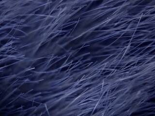 Abstract Blue Fibers Interwoven Texture Modern Design Minimalist Aesthetic.