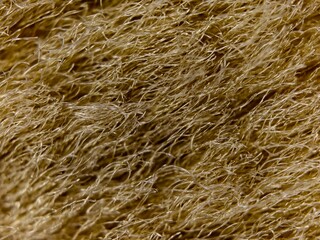 Extreme Macro of Golden Fibers Abstract Texture with Intricate Details and Soft Lighting.