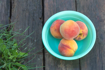 Four Fresh Peaches in a Green Plastic Bowl on Rustic Wooden Surface