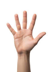 Fototapeta premium Human adult hand, palm forward, fingers widely spread, indicating the number five. Isolated on a pristine, seamless, brilliant white background with copy space, clean studio lighting, no shadows.