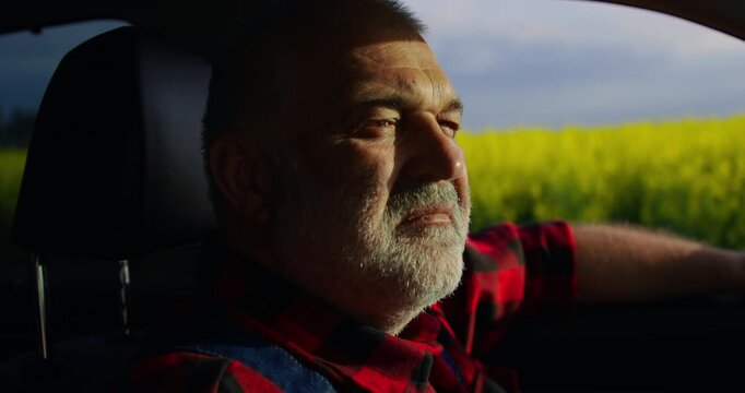 Senior Man Viewing Huge Agricultural Field From Window Of His Car, Portrait Of Old Farmer Inside Auto