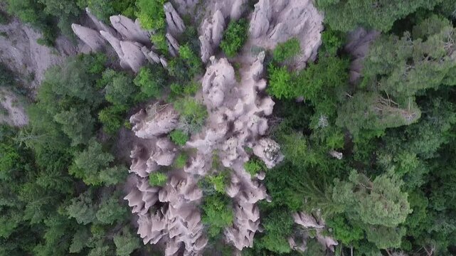 Earth pyramids rising from green forest in South Tyrol, Italy
