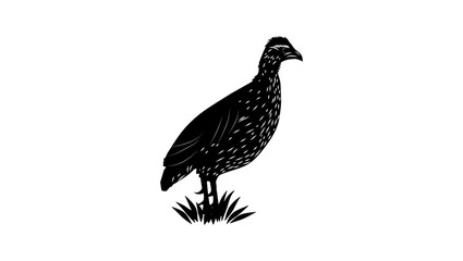 Heuglin's Spurfowl bird, black isolated silhouette