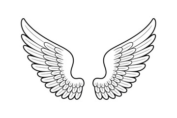 Obraz premium Elegant Wing Outlines Isolated on White Background Perfect for Graphic Design Projects and Creative Illustrations Depicting Freedom and Spirituality