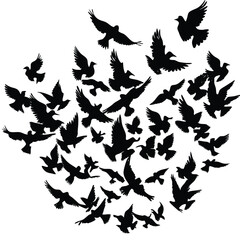 Fototapeta premium Majestic Watercolor Flock of Birds Soaring in Isolation
