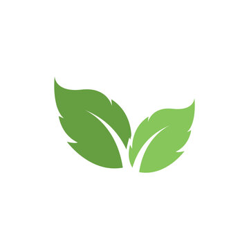 Mint leaf logo icon